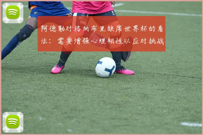 阿德勒对格纳布里缺席世界杯的看法：需要增强心理韧性以应对挑战