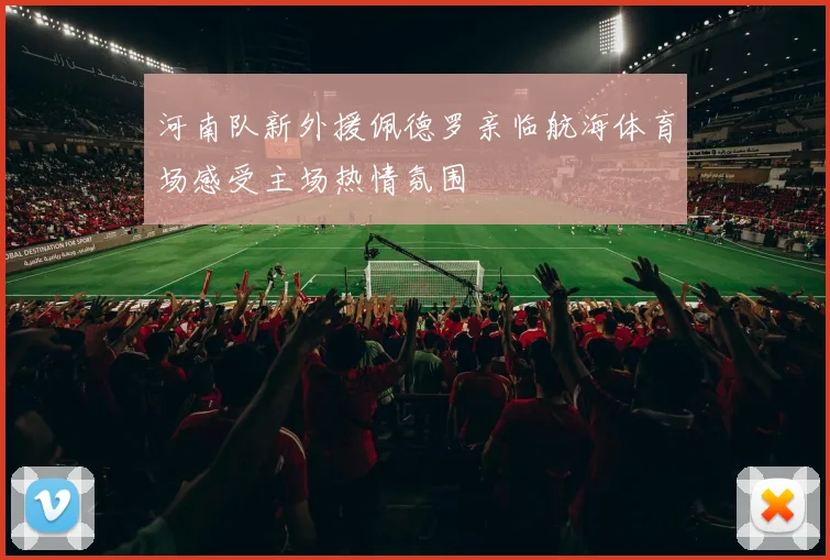 河南队新外援佩德罗亲临航海体育场感受主场热情氛围
